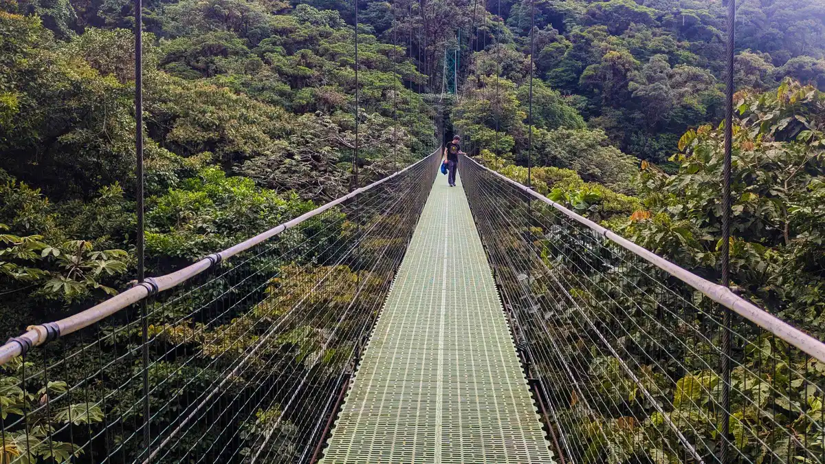 A traveler crossing a suspended hanging bridge above the canopy on a Monteverde cloud forest tour at Treetopia Park