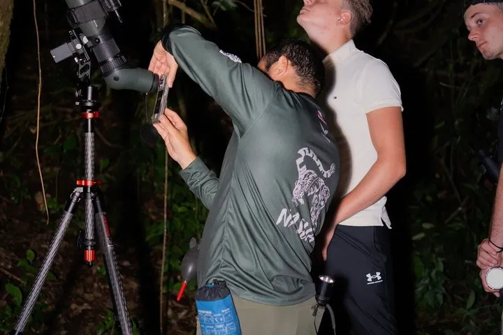 A guide using a flashlight to spot nocturnal wildlife on a Monteverde cloud forest tour at the Wildlife Refuge