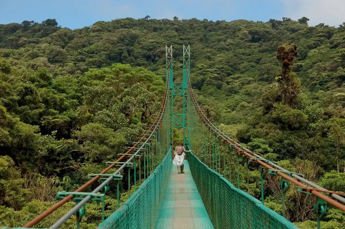 A green hanging bridge over the forest canopy on a Monteverde cloud forest tour