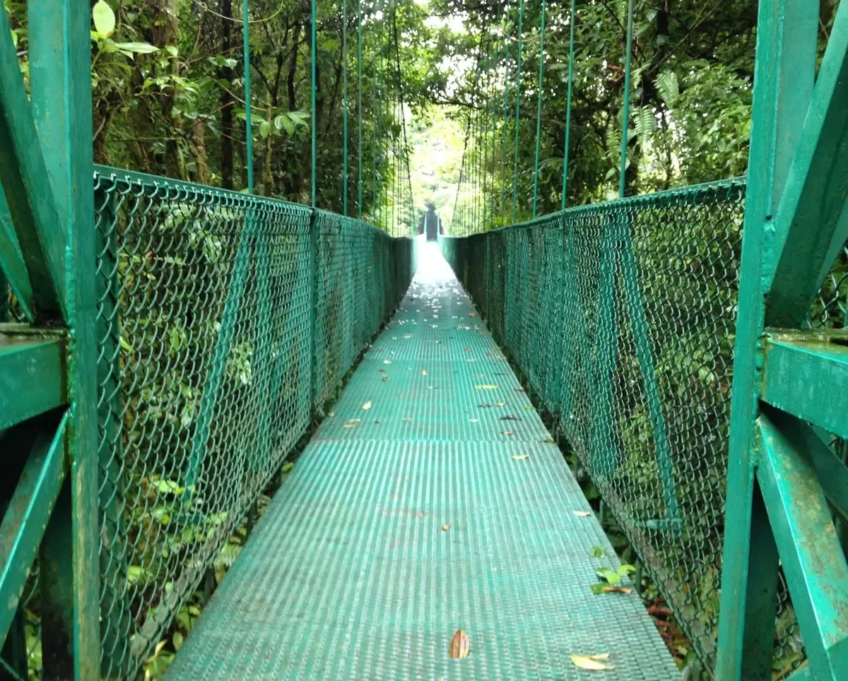 A suspension bridge in Selvatura Park on a Monteverde cloud forest tour